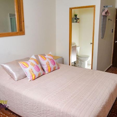 Pineapple Hospitality Apartment Mayaguez Ngoại thất bức ảnh