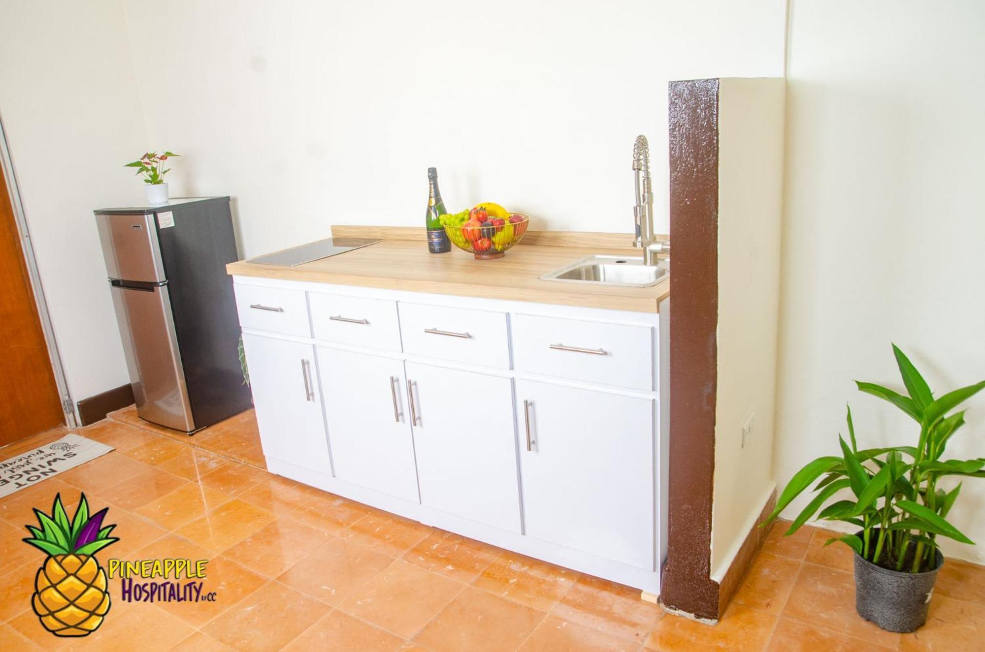 Pineapple Hospitality Apartment Mayaguez Ngoại thất bức ảnh