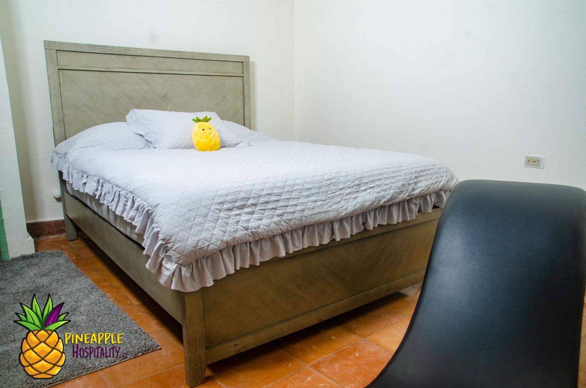 Pineapple Hospitality Apartment Mayaguez Ngoại thất bức ảnh