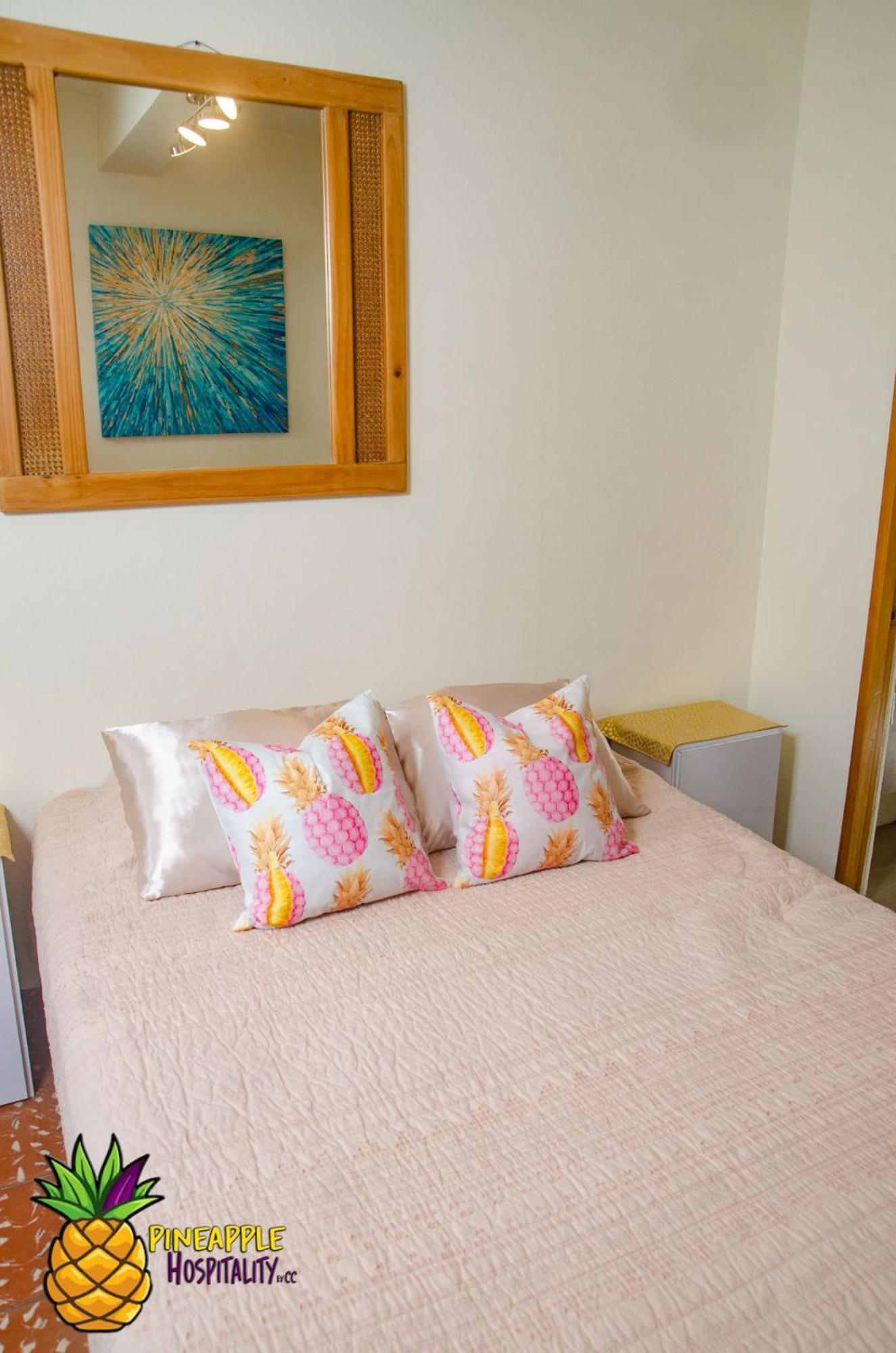 Pineapple Hospitality Apartment Mayaguez Ngoại thất bức ảnh
