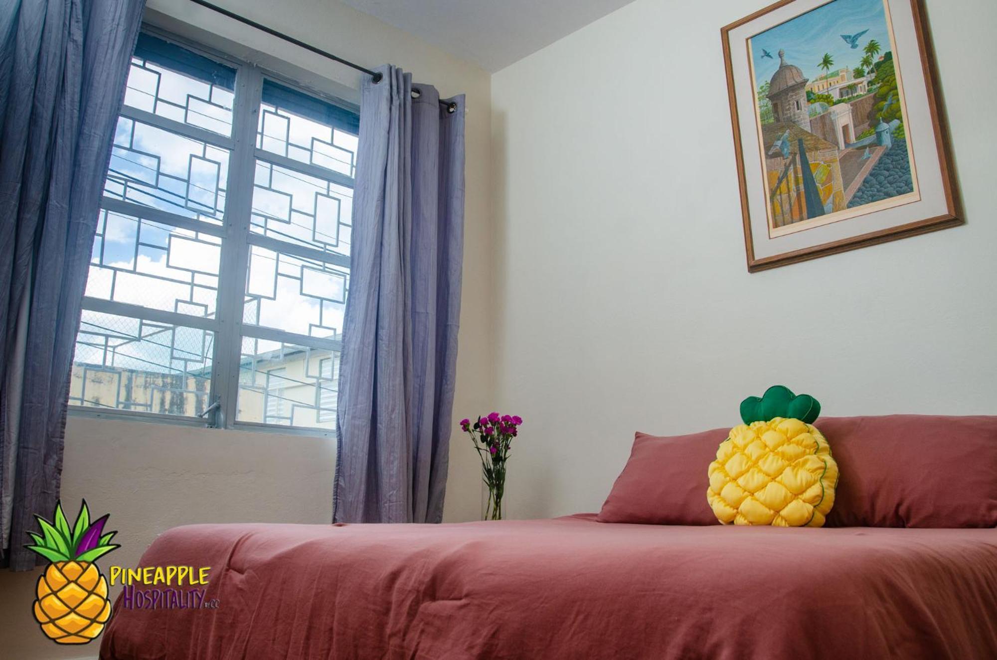 Pineapple Hospitality Apartment Mayaguez Ngoại thất bức ảnh